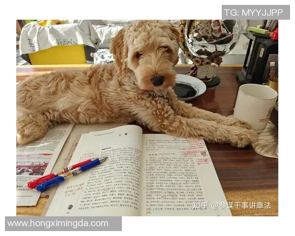 格拉斯流浪与基尔马诺克的精彩对决分析与赛后点评